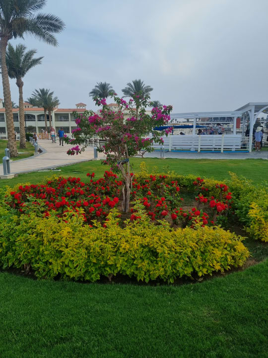 Gartenanlage Pickalbatros Dana Beach Resort - Hurghada