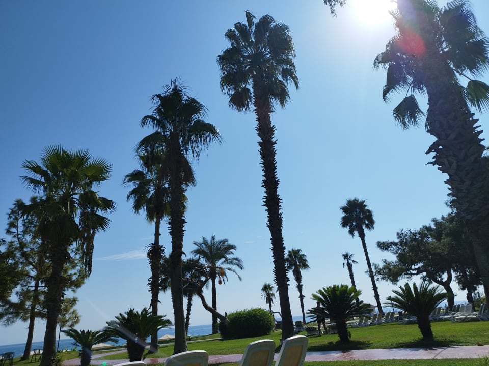 Strand TUI MAGIC LIFE Beldibi +16