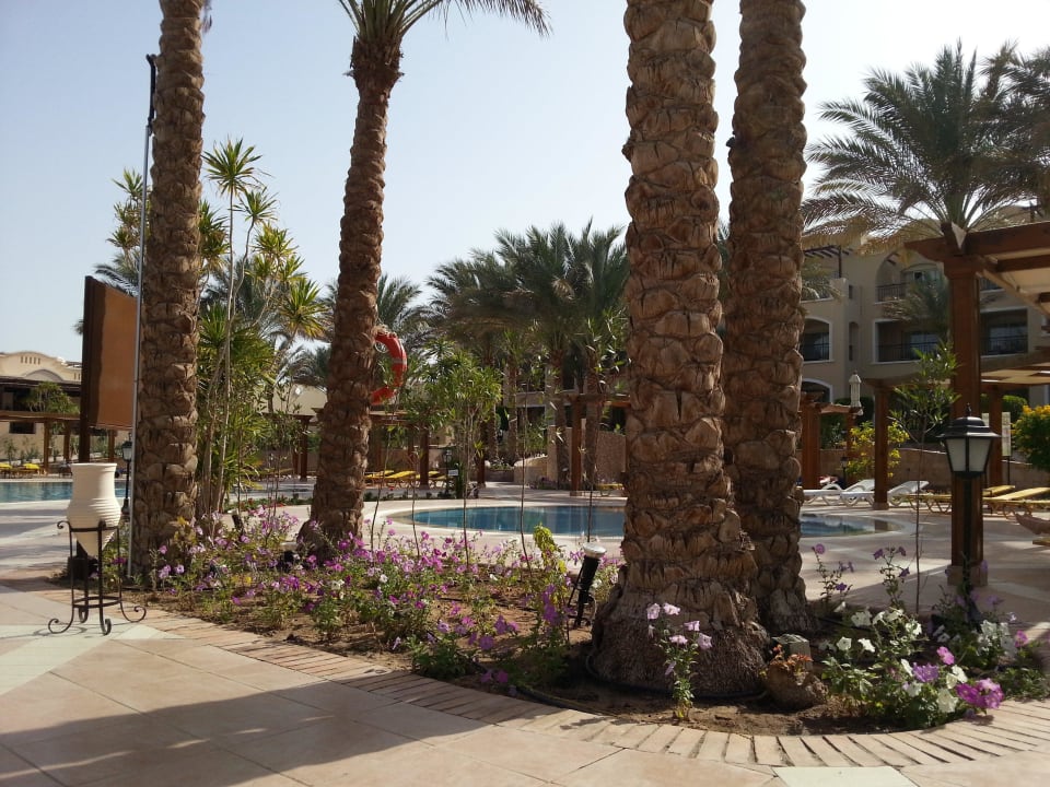 Wunderschöne, gepflegte Anlage Hotel JAZ Makadi Star & Spa
