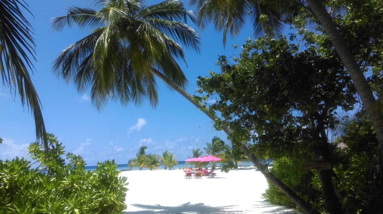 Strand Sun Siyam Vilu Reef