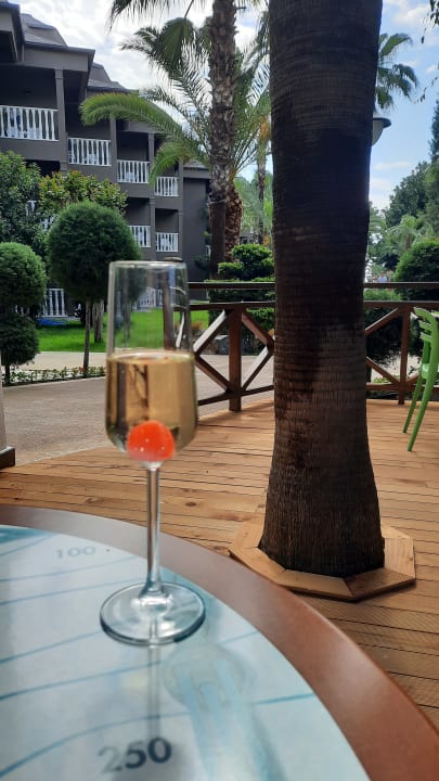 Gastro Sailor's Beach Club