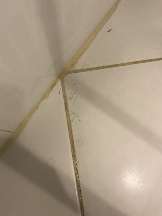 Zimmer Alp Pasa Hotel - Special Class