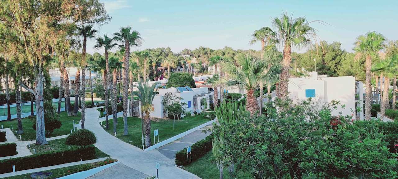Ausblick Cala Llenya Resort Ibiza
