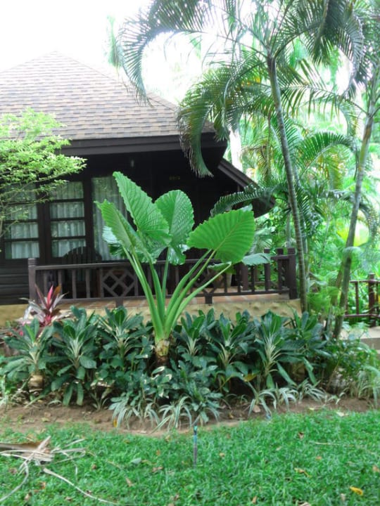 Bungalow The Fair House Beach Resort