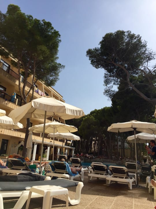 Bella Playa Hotel Bella Playa & Spa