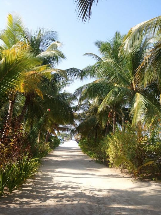 Weg zum Steg Kuredu Island Resort & Spa