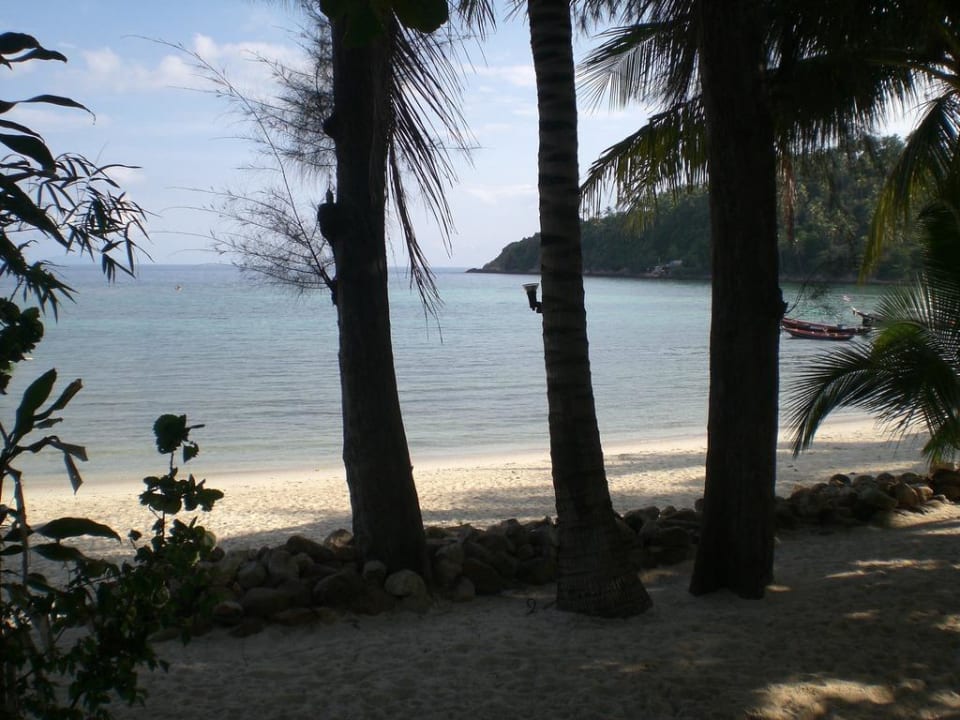 Ausblick vom Zimmer Hotel Salad Hut