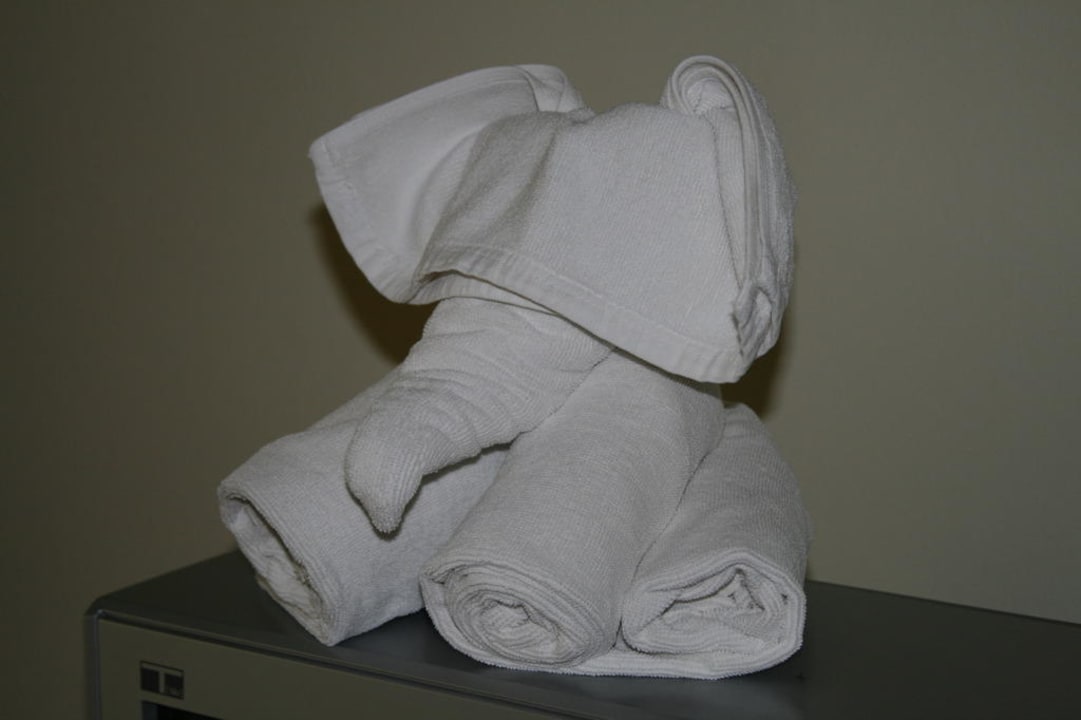 Elefantenhandtuch Khaolak Orchid Beach Resort