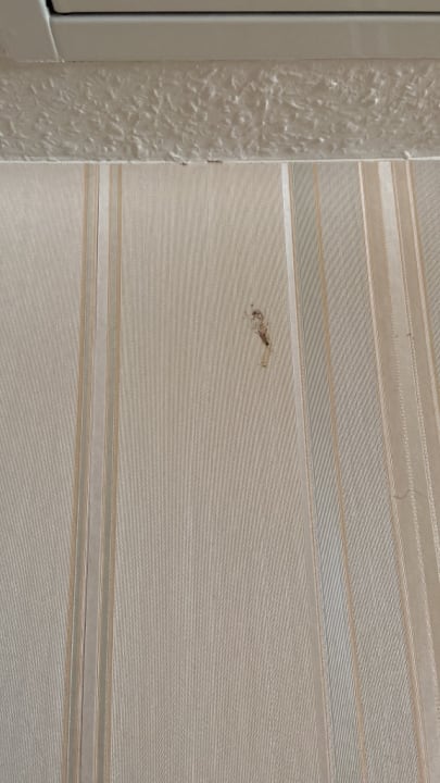 Zimmer Hotel Zum Schiff