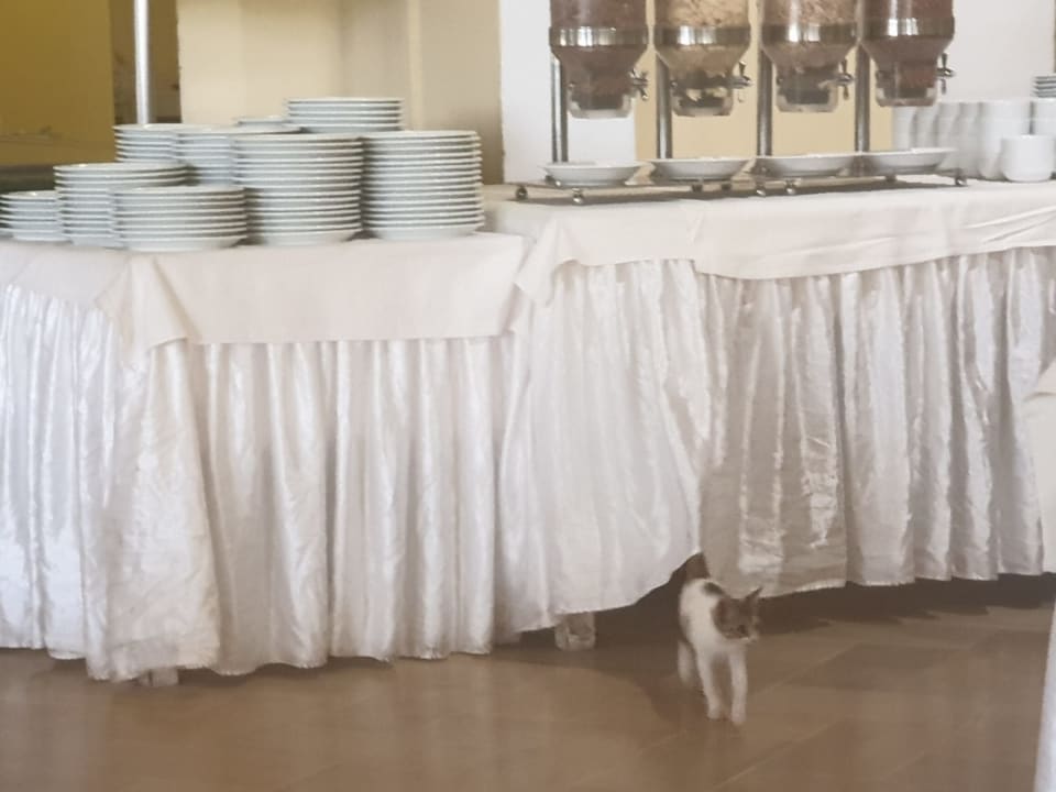 Gastro Mahdia Beach & Aquapark