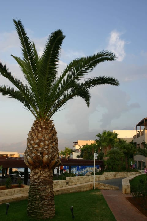 Blick aus unserem Zimmer Grand Hotel Holiday Resort