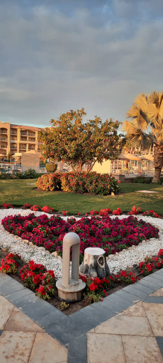 Garten Pickalbatros White Beach Resort - Hurghada