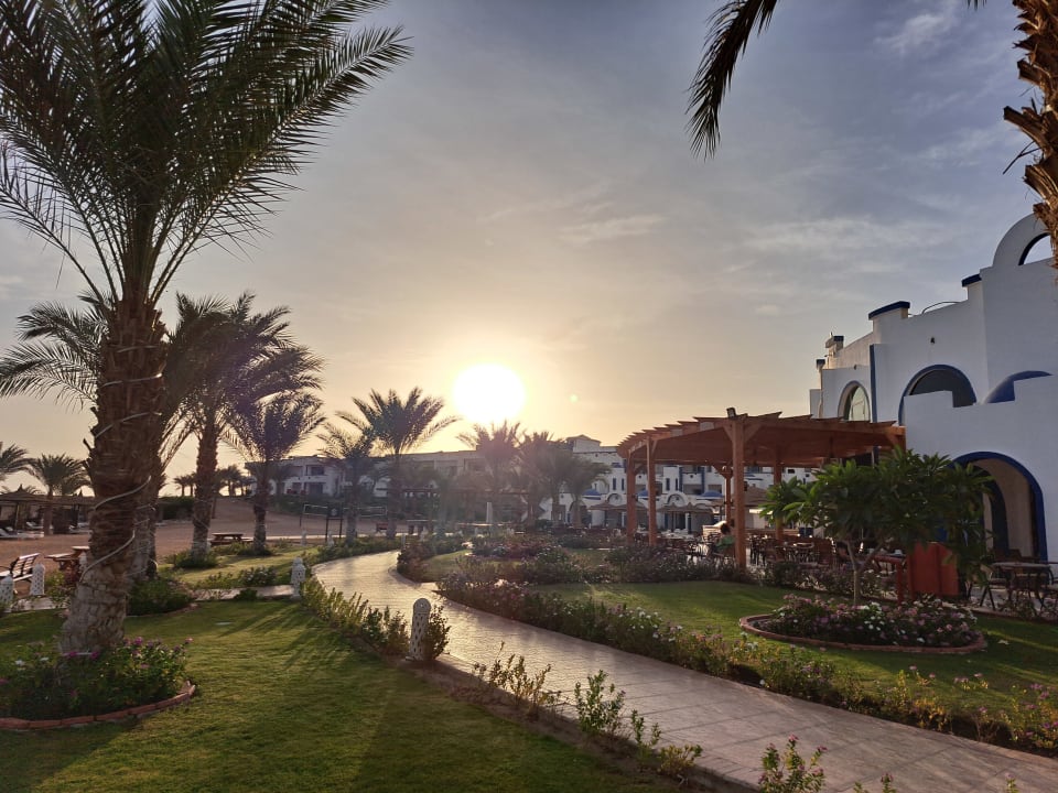 Gartenanlage Coral Sun Beach