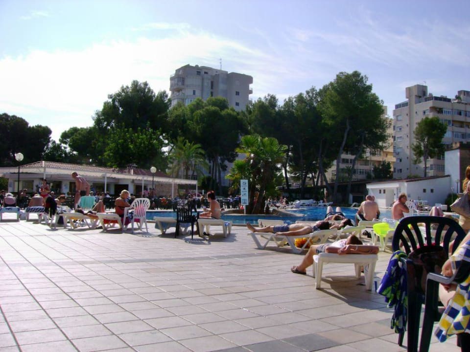 Pool BQ Belvedere Hotel