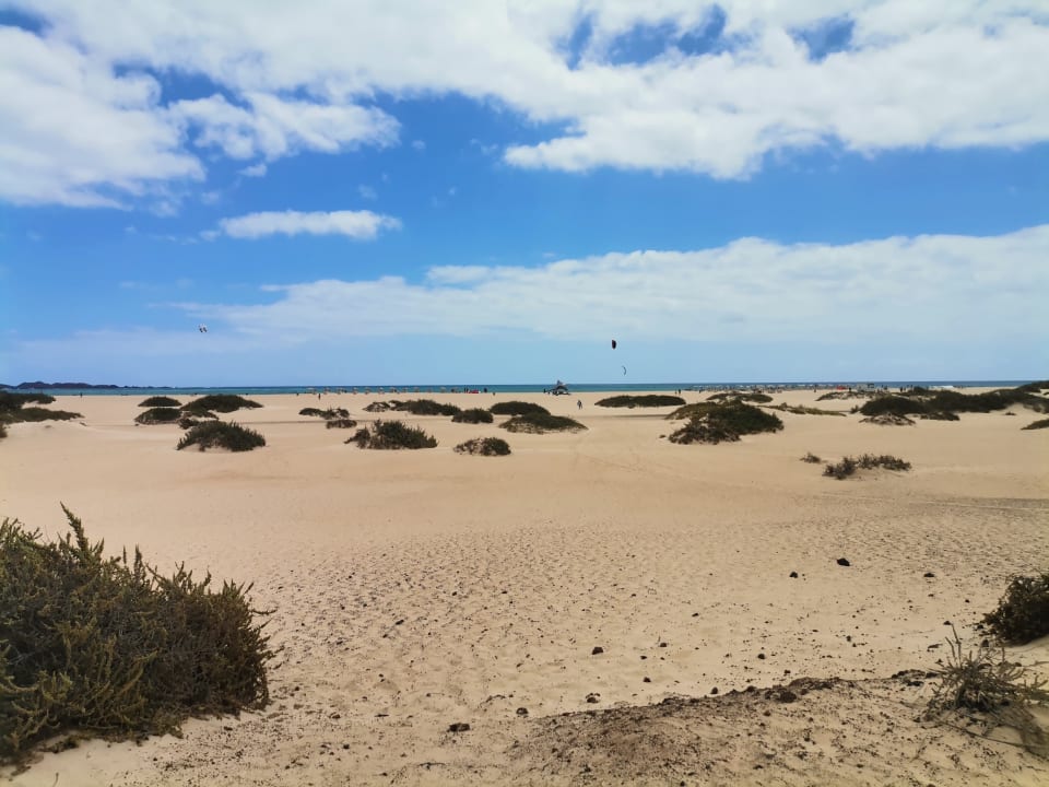Ausblick Pierre & Vacances Fuerteventura Origo Mare Resort