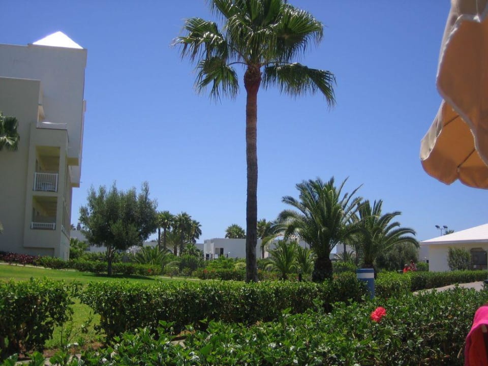 Gartenanlage Hotel Riu Gran Canaria