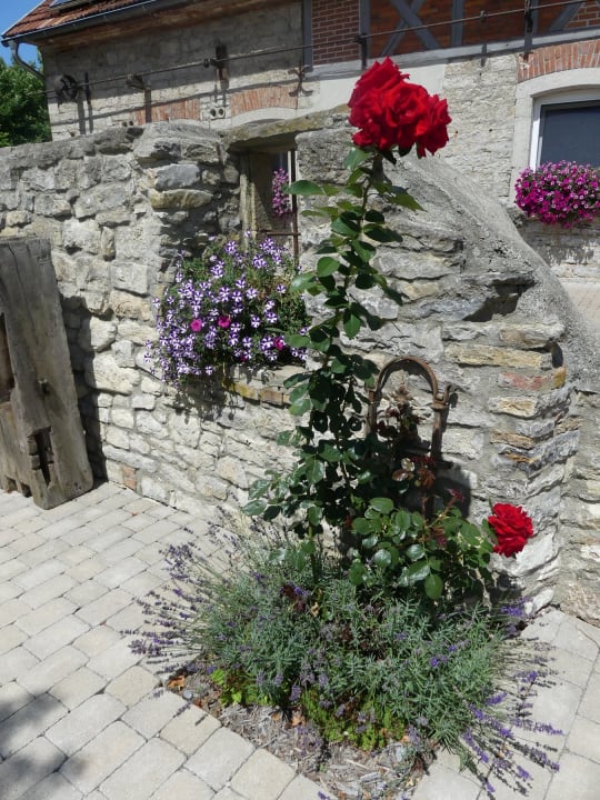 Gartenanlage Camping Schwabenmühle