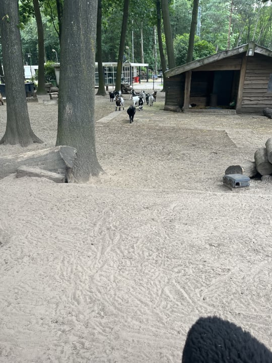 Sport & Freizeit Oostappen Vakantiepark de Berckt