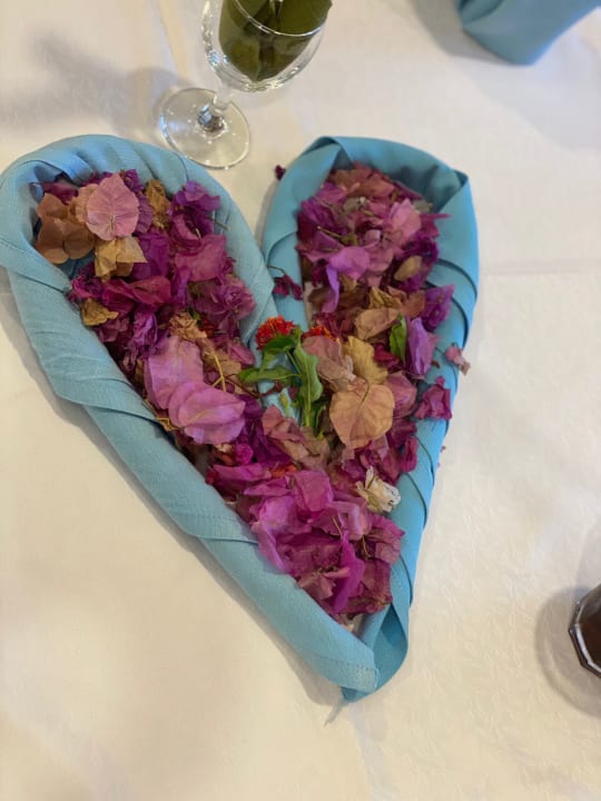 Pool Hane Family Resort