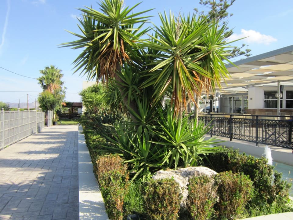 Garten Ilios K Village Resort