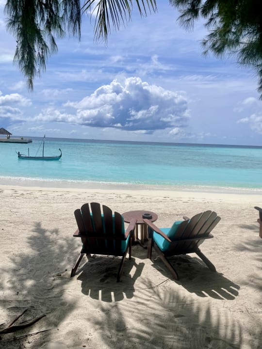 Gastro Summer Island Maldives