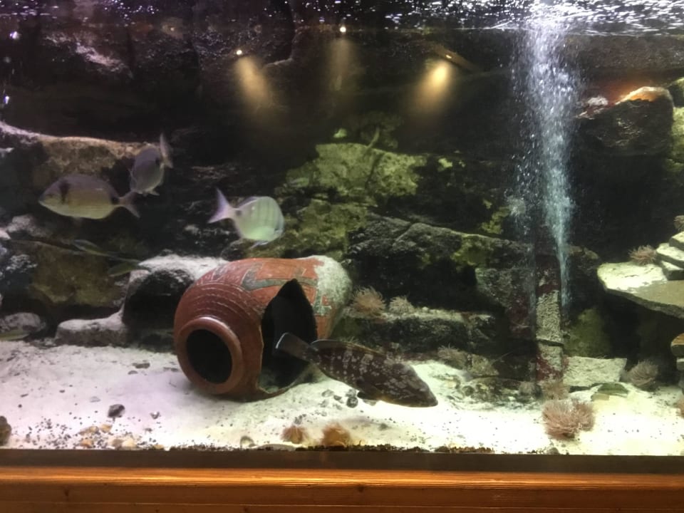 Untererdisch zum Block D Princesa Yaiza Suite Hotel Resort