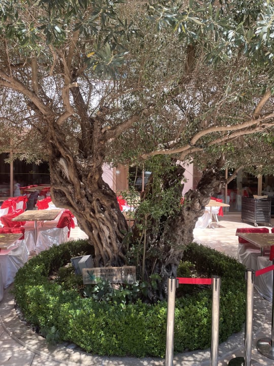 Gastro Port Side Resort Hotel