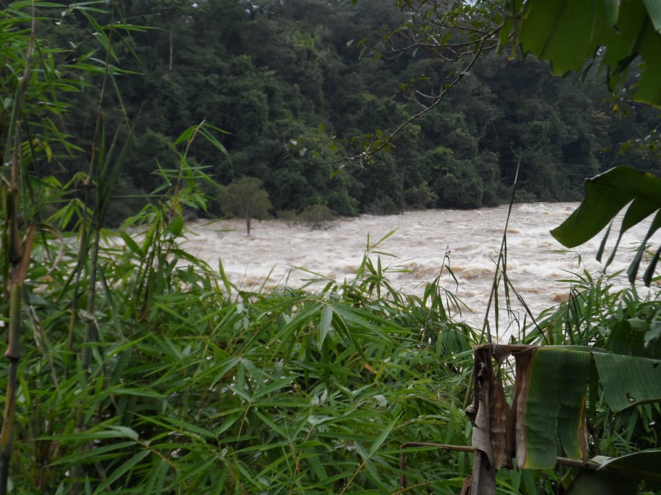 Wilder Strom nach der Regenzeit, sonst ein Bach Hotel Forest Floor Lodge