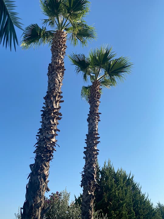 Außenansicht White Dreams Resort & Anex