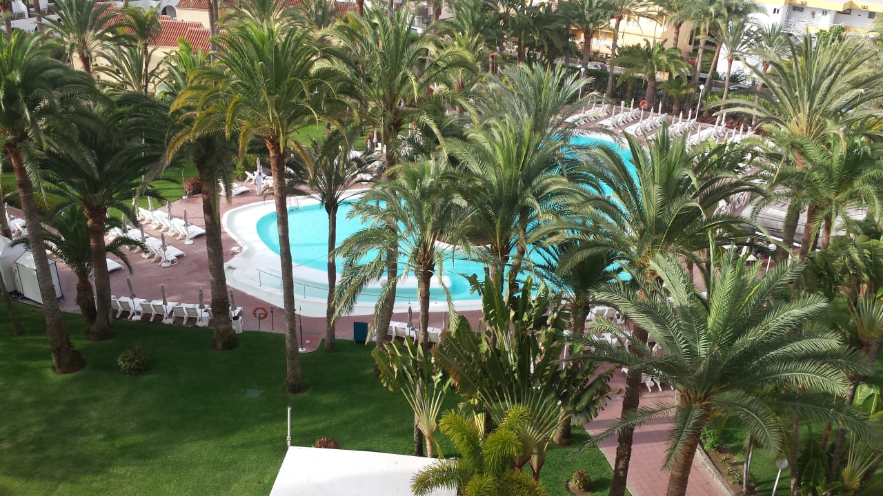 Ausblick Hotel Riu Palace Palmeras