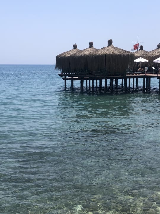 Strand Crystal Flora Beach Resort