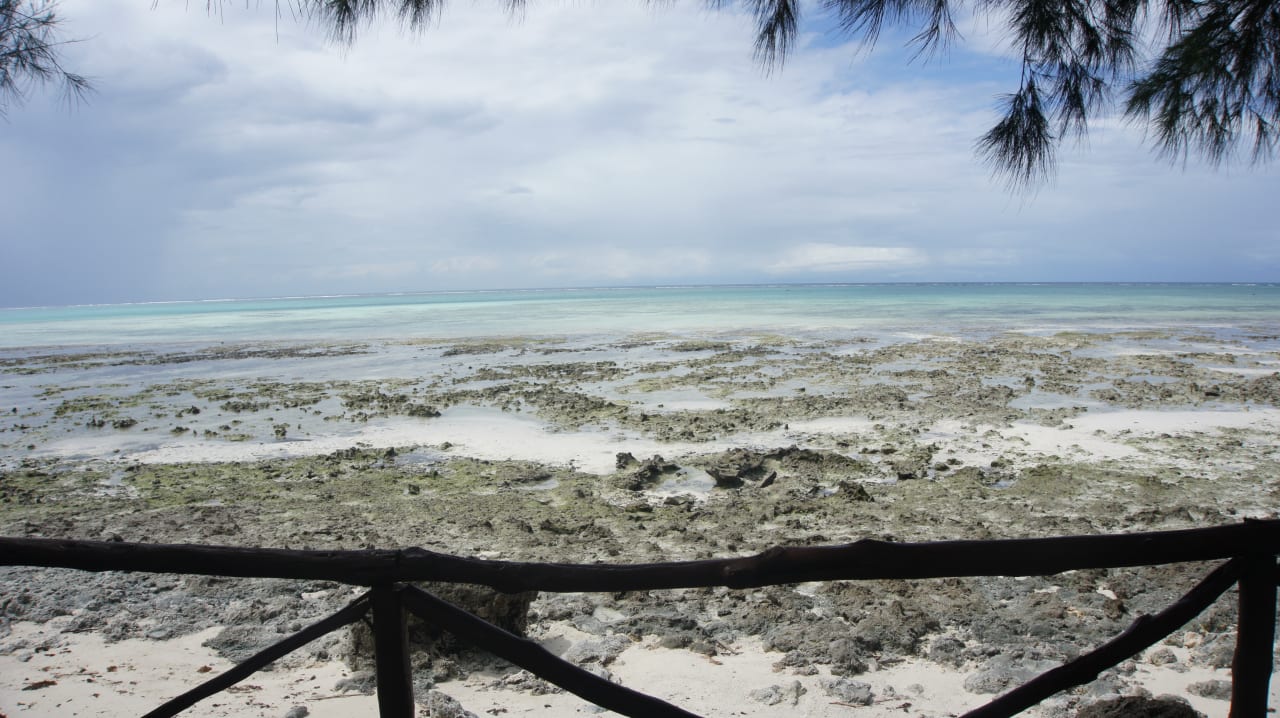 Richtig Ebbe Reef & Beach Resort