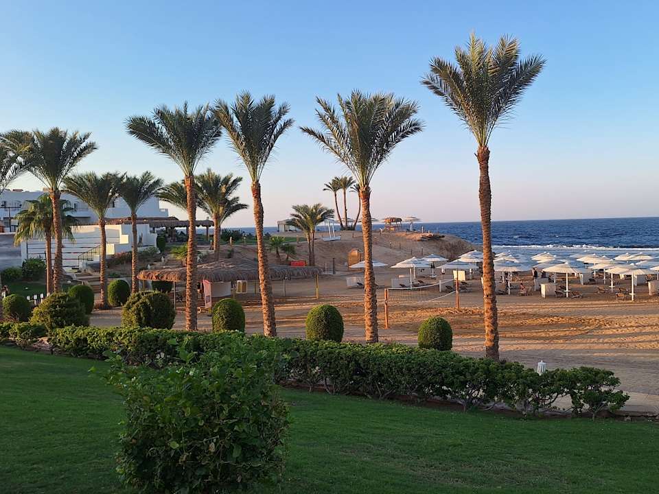 Strand JAZ Neo Reef Marsa