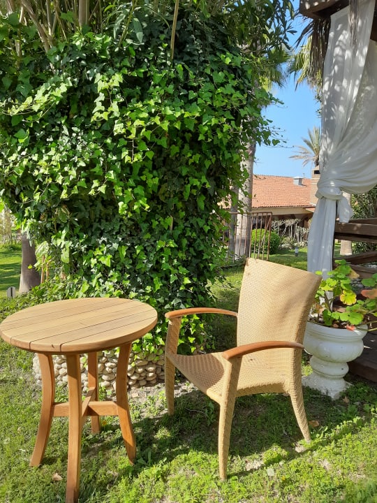 Gartenanlage Hotel Defne Garden