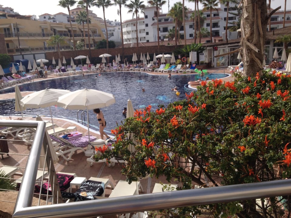 Pool Landmar Playa La Arena