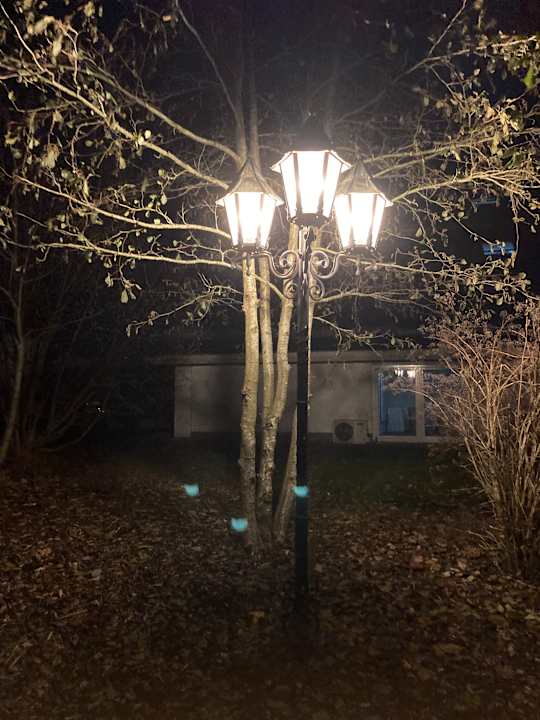 Ausblick Sure Hotel by Best Western Rhoen Garden