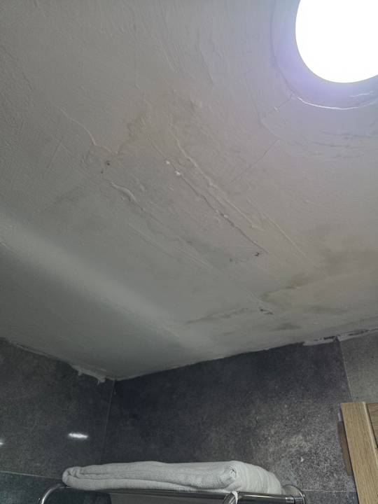 Zimmer AQI Pegasos World