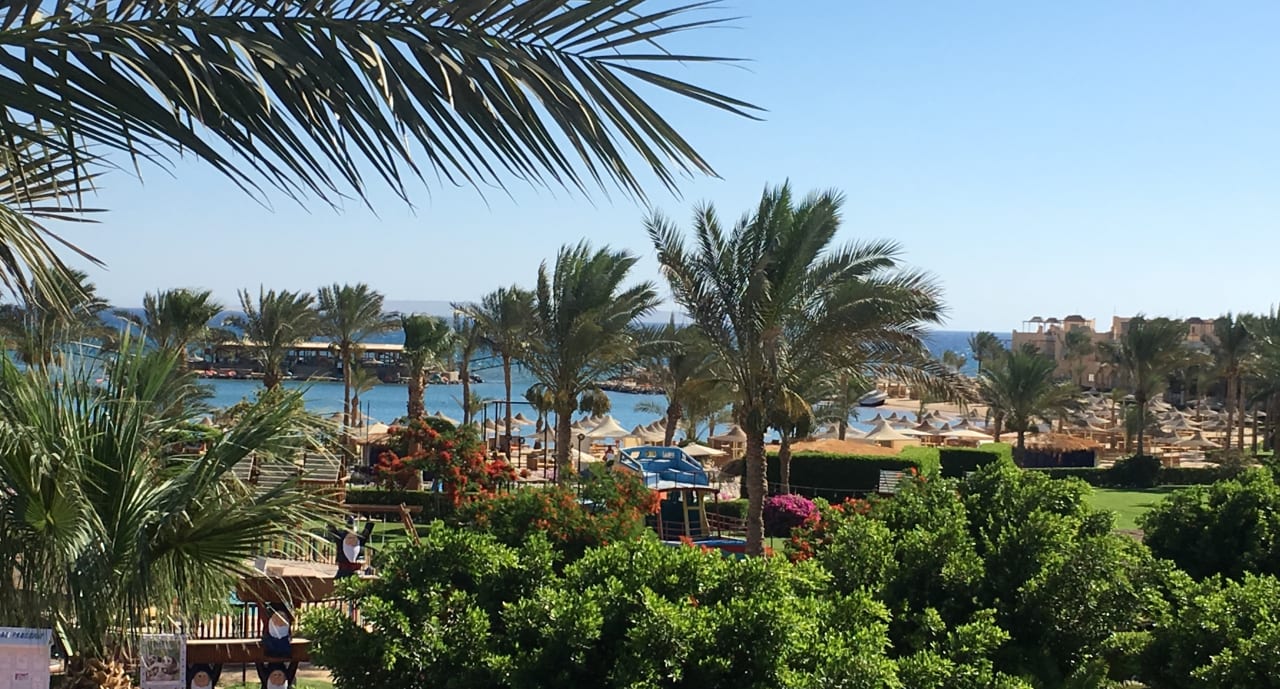 Ausblick Desert Rose