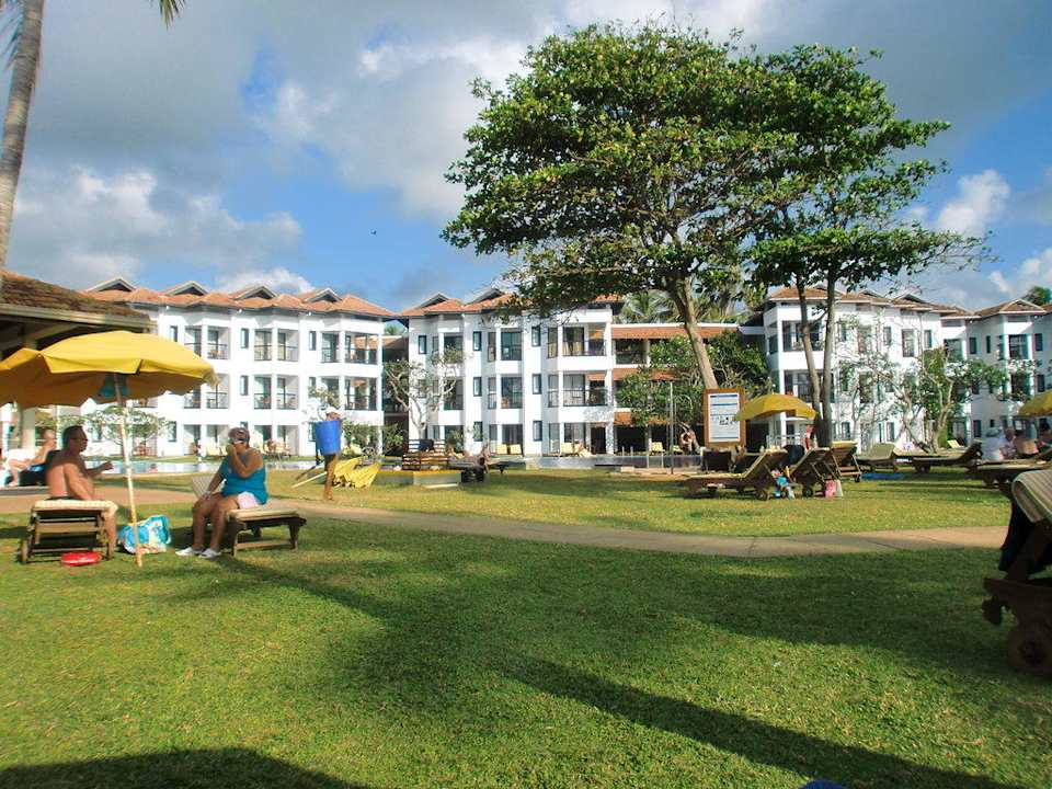 Liegewiese Club Hotel Dolphin