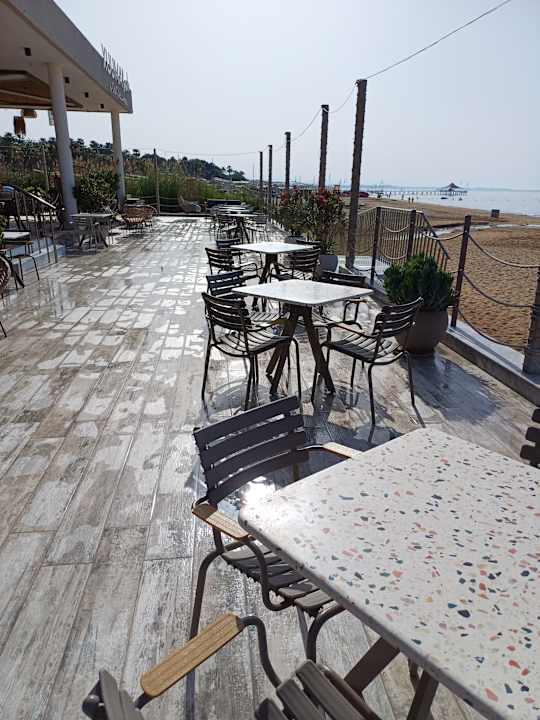 Strand Seashell Vega