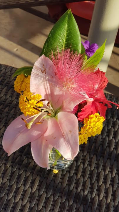 Sonstiges Makadi Spa - Adults only