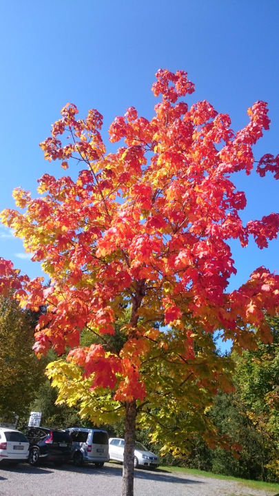 Außenansicht Sonnhof Reit im Winkl