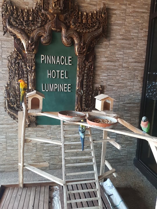 Sonstiges Pinnacle Lumpinee Park Hotel