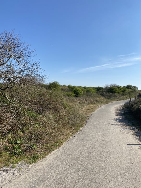 Strand Roompot Camping De Zandput