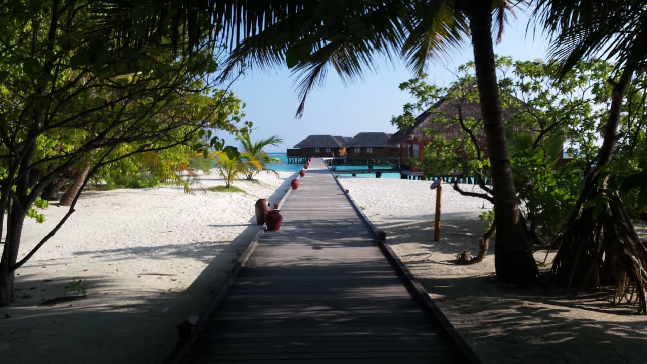 Steg zum Spa Meeru Maldives Resort Island