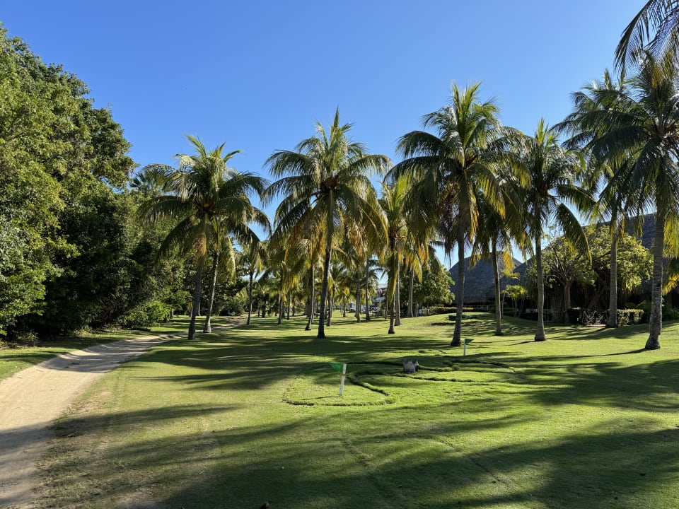 Gartenanlage Royalton Hicacos Resort & Spa - Adults only