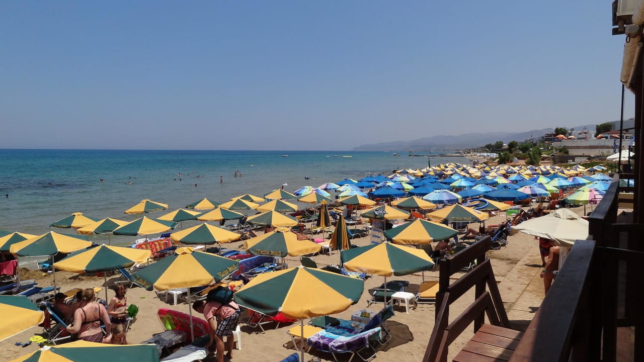 Hotel-Strand Cactus Beach Cactus Beach