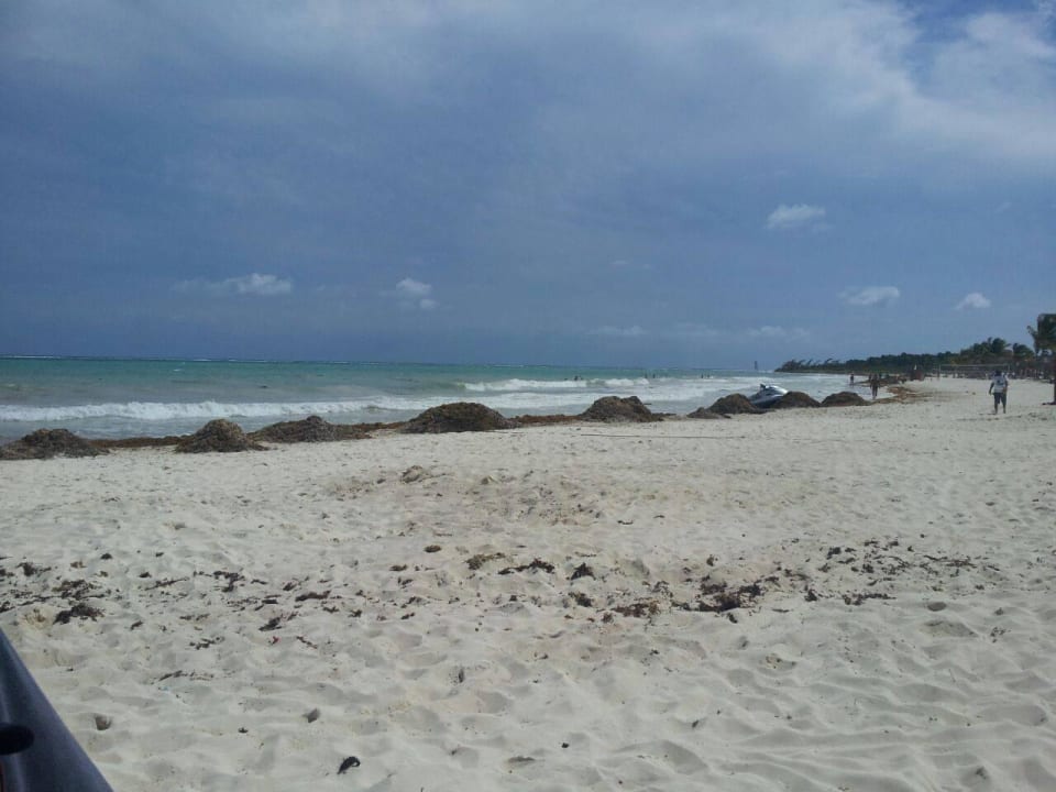 Hotel Catalonia Playa Maroma Catalonia Playa Maroma