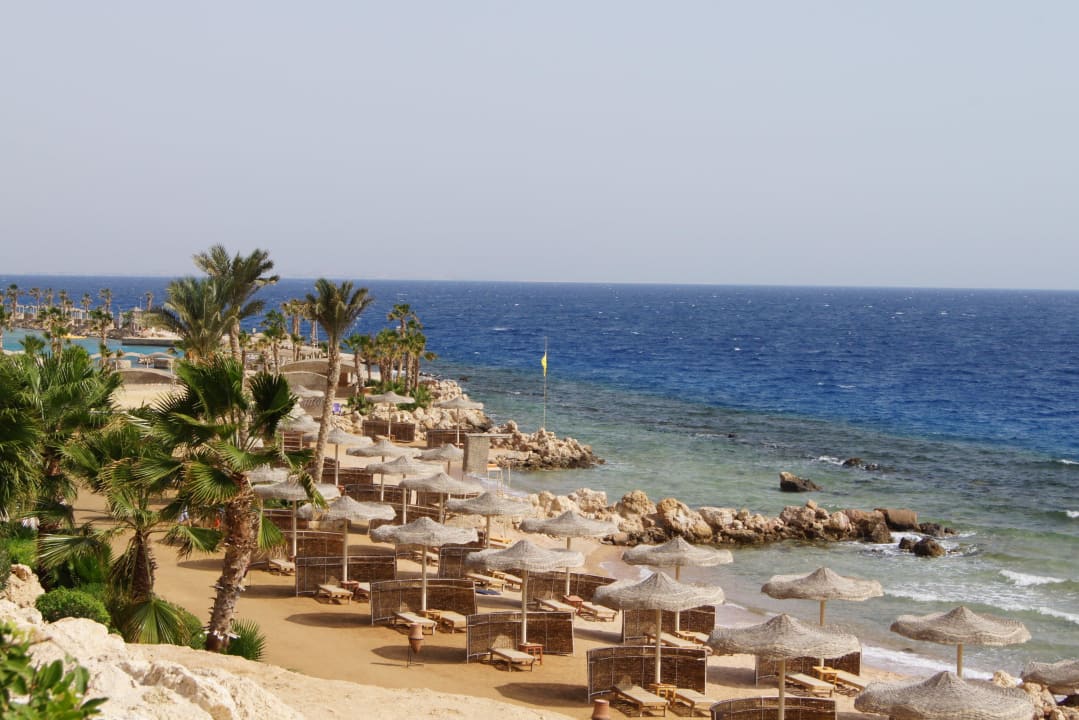 Кораловый пляж Pickalbatros Citadel Resort