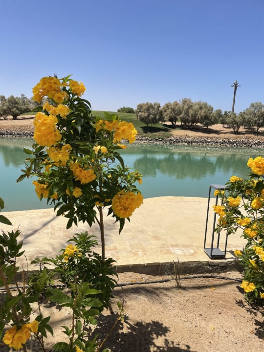 Gartenanlage Steigenberger Golf Resort El Gouna